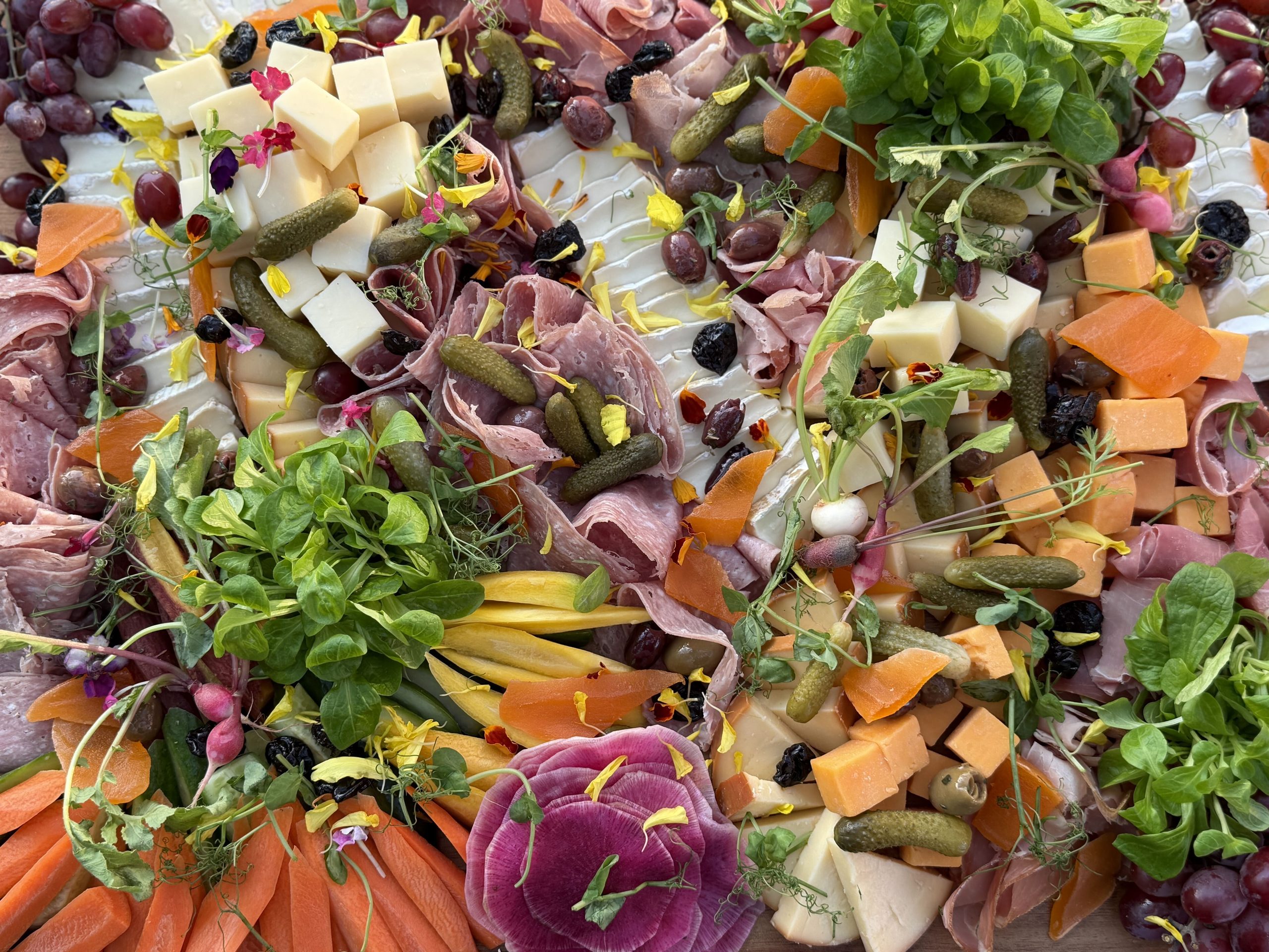 Beautiful lunch spread for corporate catering client's lunch